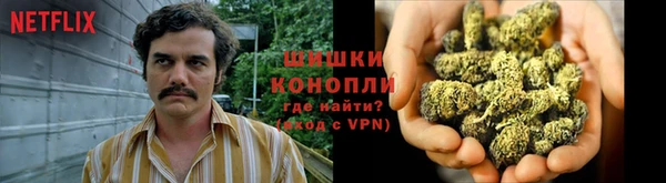 молекула духа Абинск