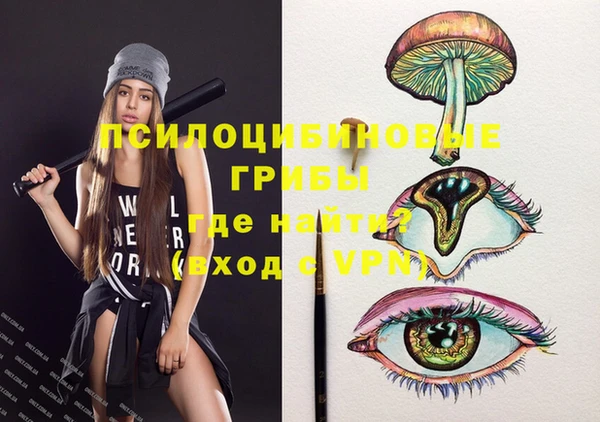 молекула духа Абинск