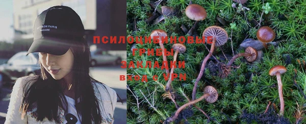 молекула духа Абинск